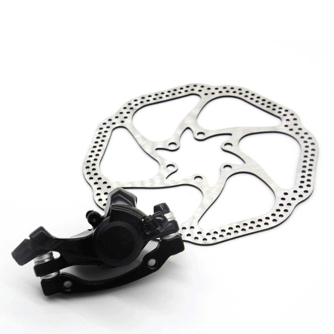 Rear disc brakes