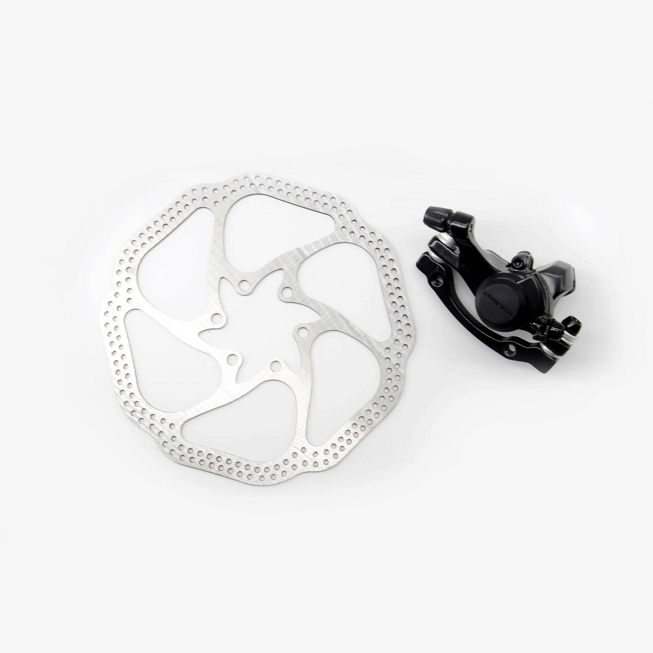 Rear disc brakes